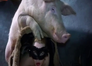 Twisted pig fucking a masked amateur