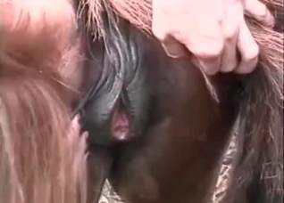 Incredible-quality bestiality with a pretty slut