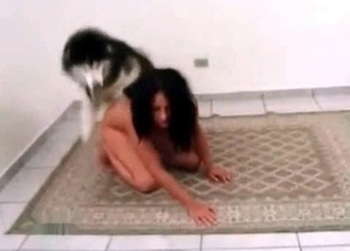 Horny husky seduced by the owner
