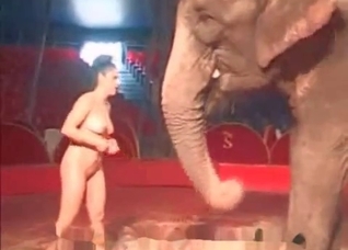 Gorgeous babe fucking a fucking elephant