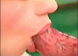Sloppy, deepthroat blowjob for a horny hound