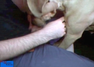 Guy with great balls gets serviced by a dog