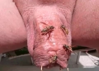 This is the dirtiest bestiality video ever