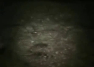 Gay dude fucking a hung horse at night